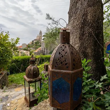 Paolo Lemon Tree