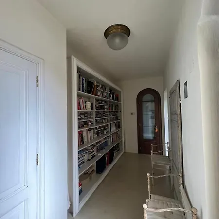 Paolo Lemon Tree * ポルトヴェーネレ