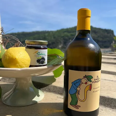 ヴィラ Paolo Lemon Tree ポルトヴェーネレ