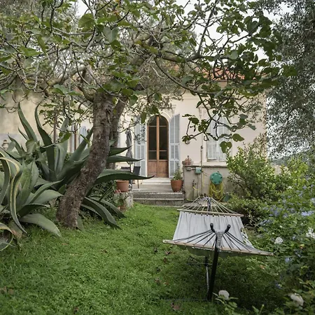 Paolo Lemon Tree Porto Venere
