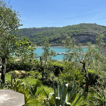 Paolo Lemon Tree Porto Venere