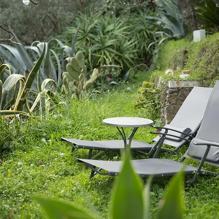 Paolo Lemon Tree Porto Venere