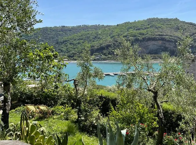 Paolo Lemon Tree Porto Venere