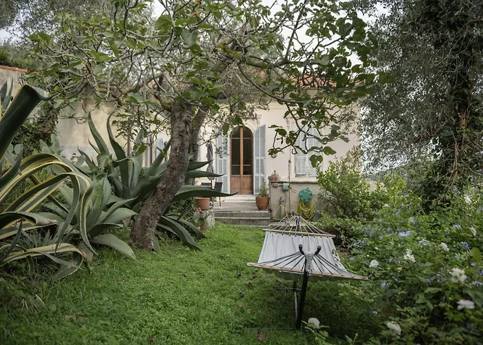 Paolo Lemon Tree Porto Venere